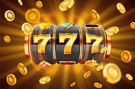 245win